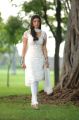 Kajal Agarwal Churidar Images in Brindavanam