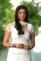 Kajal Agarwal in White Churidar Pics