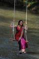 Brindavanam Heroine Kajal Hot Saree Stills