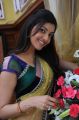 Brindavanam Actress Kajal Hot Saree Stills