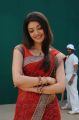 Actress Kajal Hot Saree Stills in Brindavanam