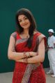 Brindavanam Heroine Kajal Hot Saree Stills