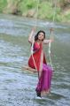 Actress Kajal Agarwal Hot Saree Stills in Brindavanam