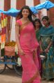 Telugu Actress Kajal Hot in Saree Stills