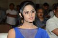 Karthika Nair @ Brother of Bommali Movie Audio Launch Stills