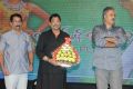 Brother of Bommali Movie Audio Launch Stills