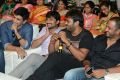 Brother of Bommali Movie Audio Launch Stills