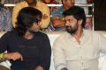 Brother of Bommali Movie Audio Launch Stills