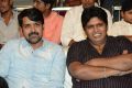 Brother of Bommali Movie Audio Launch Stills