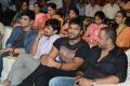 Brother of Bommali Movie Audio Launch Stills