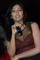 Esha Ranganath @ Brother of Bommali Audio Release Photos