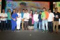 Brother of Bommali Audio Release Photos