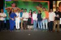 Brother of Bommali Audio Release Photos