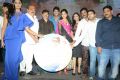 Brother of Bommali Audio Release Photos