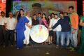 Brother of Bommali Audio Release Photos