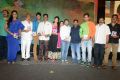 Brother of Bommali Audio Release Photos