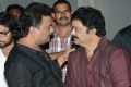 Brother of Bommali Audio Release Photos