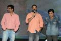 Brother of Bommali Audio Release Photos