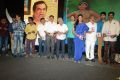 Brother of Bommali Audio Release Photos