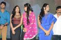 Brother of Bommali Audio Release Photos