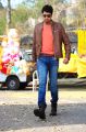 Actor Allari Naresh At Brother Of Bommali New Movie Photos