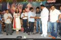 Brothers Movie Audio Release Function Pictures