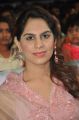 Upasana Kamineni @ Bruce Lee Movie Audio Launch Photos