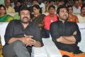 Chiranjeevi, Ram Charan @ Bruce Lee Movie Audio Release Function Stills