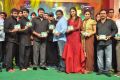 Bruce Lee Movie Audio Launch Function Stills