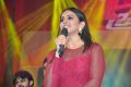 Bruce Lee Movie Audio Release Function Stills