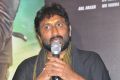 Director Sreenu Vaitla @ Bruce Lee The Fighter Movie Press Meet Stills