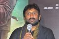 Director Sreenu Vaitla @ Bruce Lee The Fighter Movie Press Meet Stills