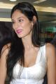 Bruna Abdullah Latest Photo Gallery