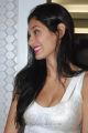 Bruna Abdullah Spicy Photos