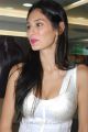 Bruna Abdullah Latest Hot Photos