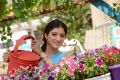 Actress Richa Panai in Brundavanamadi Andaridi Movie Stills