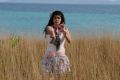 Actress Tapsee in Bullet Raja Tamil Movie Stills