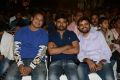 Bunny n Cherry Audio Launch Function Stills