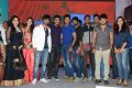 Bunny n Cherry Audio Launch Function Stills