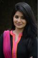 Actress Reshmi Menon @ Burma Movie Press Meet Stills