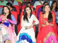 Businessman Audio Release Pictures