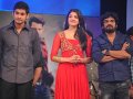 Businessman Audio Release Pictures