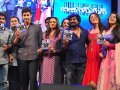 Businessman Audio Release Pictures