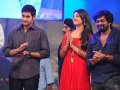 Businessman Audio Release Pictures