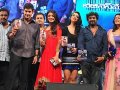 Businessman Audio Release Pictures