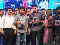 Businessman Audio Release Pictures