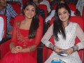 Businessman Audio Release Pictures