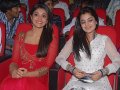 Businessman Audio Release Pictures