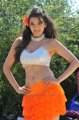 Kajal Agarwal hottest photo gallery