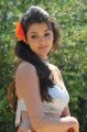 Businessman Kajal Agarwal Hot Spicy Pics